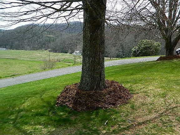 5th image of 7755 State Highway 163