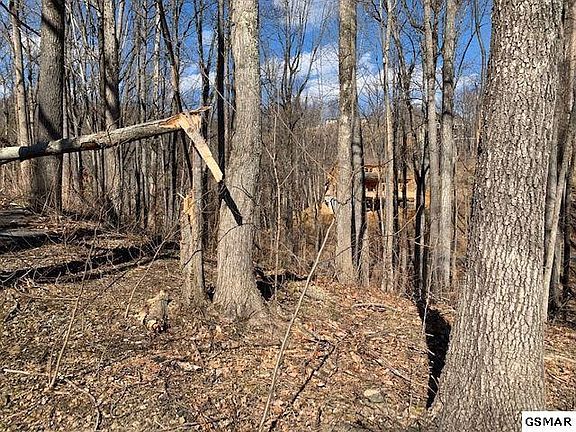 5th image of 26 Deer Path Ln #26