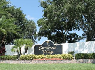 4212 Mill Valley Court, tampa, FL 33618