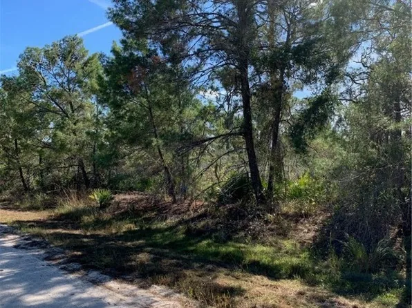 1224 Cockatoo Ave, Lake Placid, FL 33852