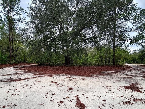 4th image of 9211 Dorothy Rd