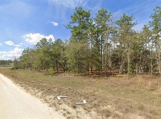 SW 85th Pl LOT 1, Dunnellon, FL 34431
