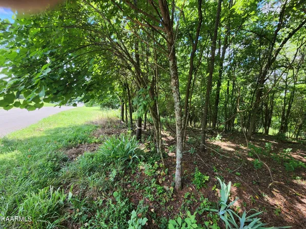 Four M Cir, Kodak, TN 37764