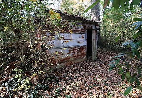 5th image of 1516 Pierce Ave