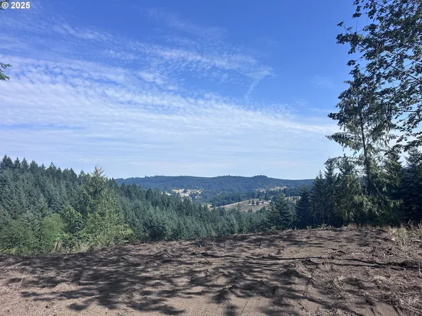 39323 SW Gibson Rd, Gaston, OR 97119