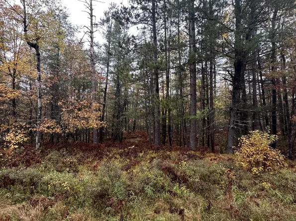 Palmer Pl, Grayling, MI 49738