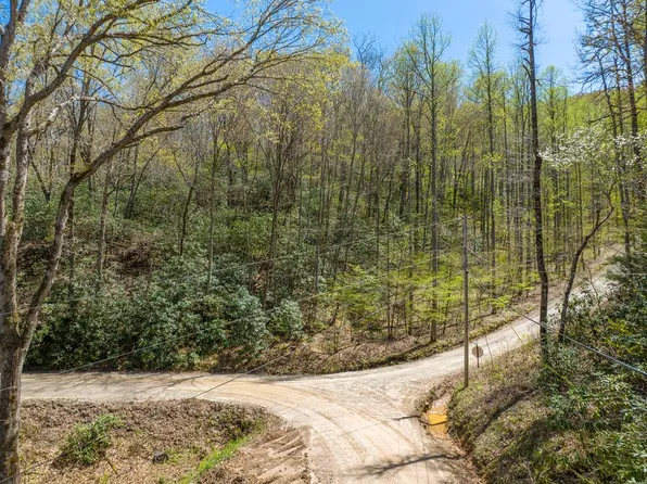 0 Wild Turkey Run, Otto, NC 28763