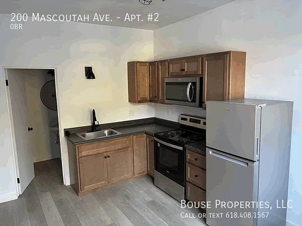 200 Mascoutah Ave #2 — Photo 3