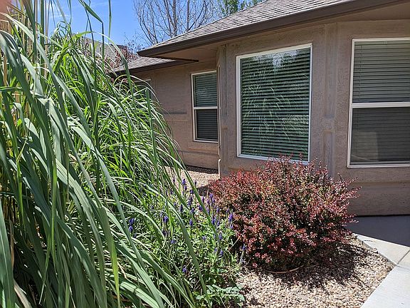 Privacy landscaping in front