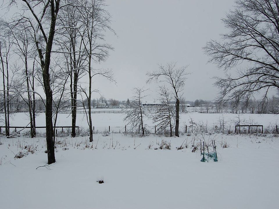 WINTER VIEW