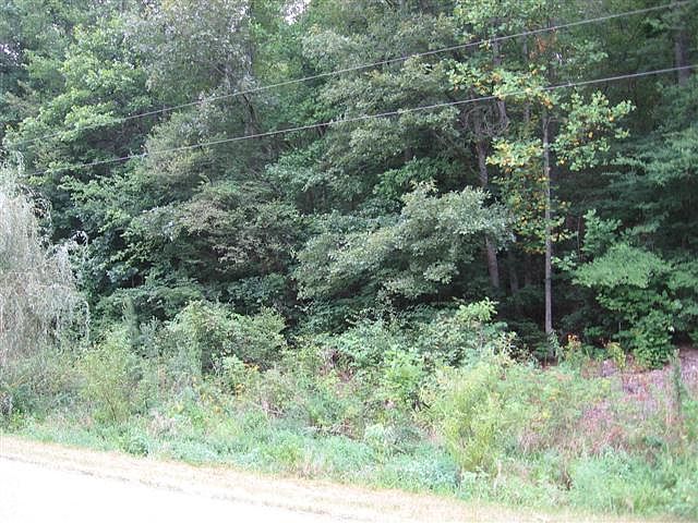 2nd image of 1540 Panhandle Rd