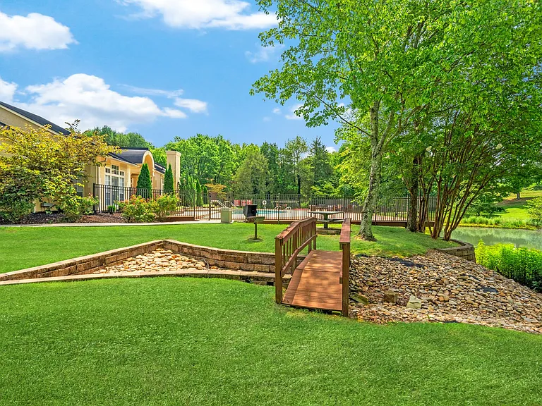 Steeplechase — Photo 15