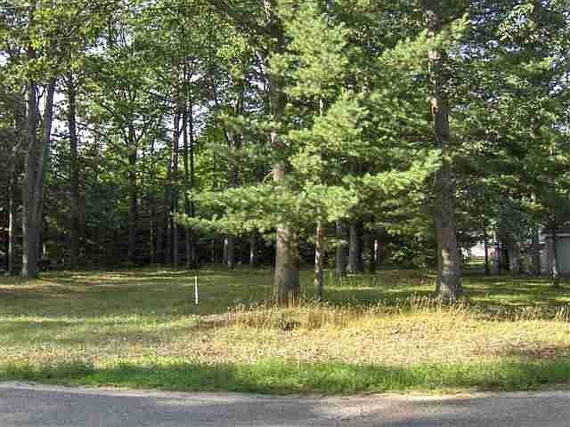1st image of Peach Tree Ave