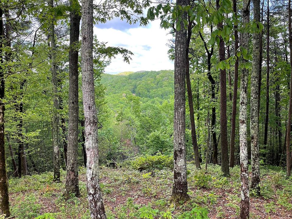 2nd image of LOT 205 Stone Cliff Dr