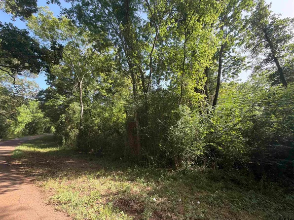 0 County Road 4411, Reklaw, TX 75784