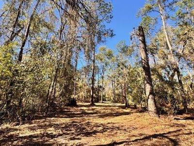 0 NE Chive Ter Lot 42, Lee, FL, 32059