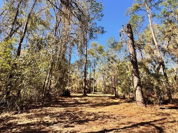 0 NE Chive Ter Lot 42, Lee, FL 32059