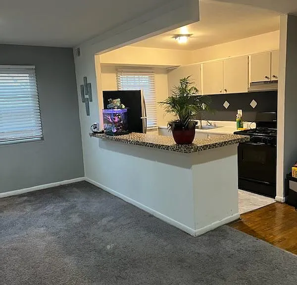 3910 Liberty Heights Ave — Photo 4