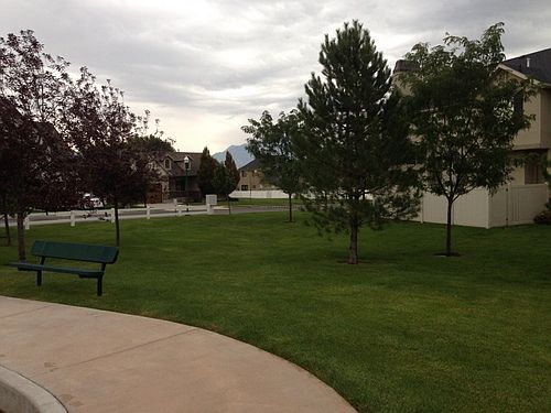 5th image of 2528 W Mont Sur Dr