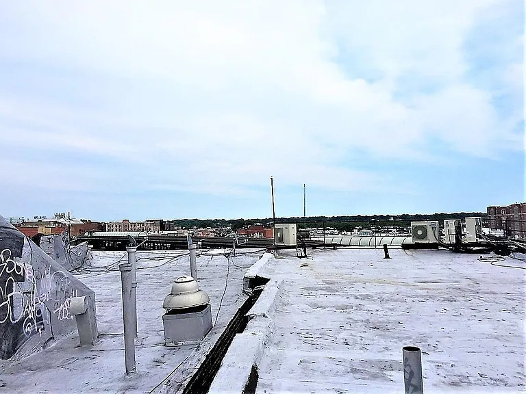 347 Linden St #2C — Photo 8