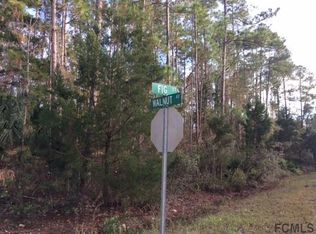 2029 Fig St, Bunnell, FL 32110