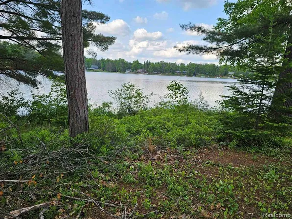 LOT 12 Paradise Dr, South Branch, MI 48761