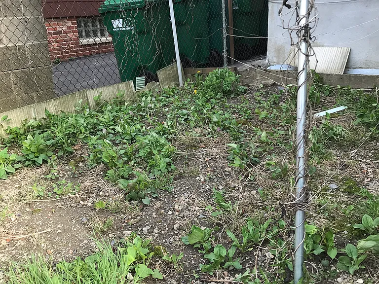 31 Newbern Ave #2 — Photo 12