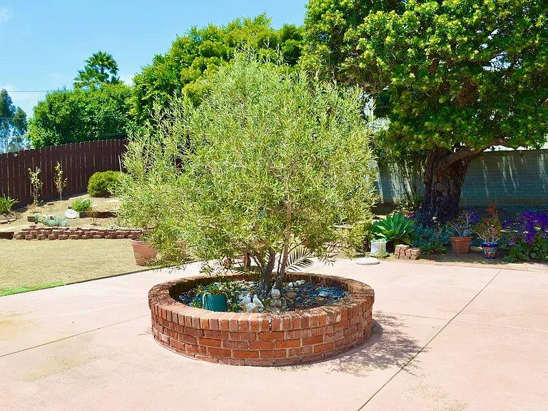 1764 Soledad Way — Photo 23