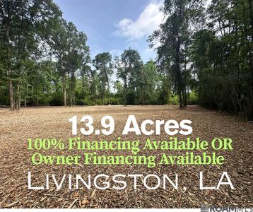Taylor Rd, Livingston, LA, 70754