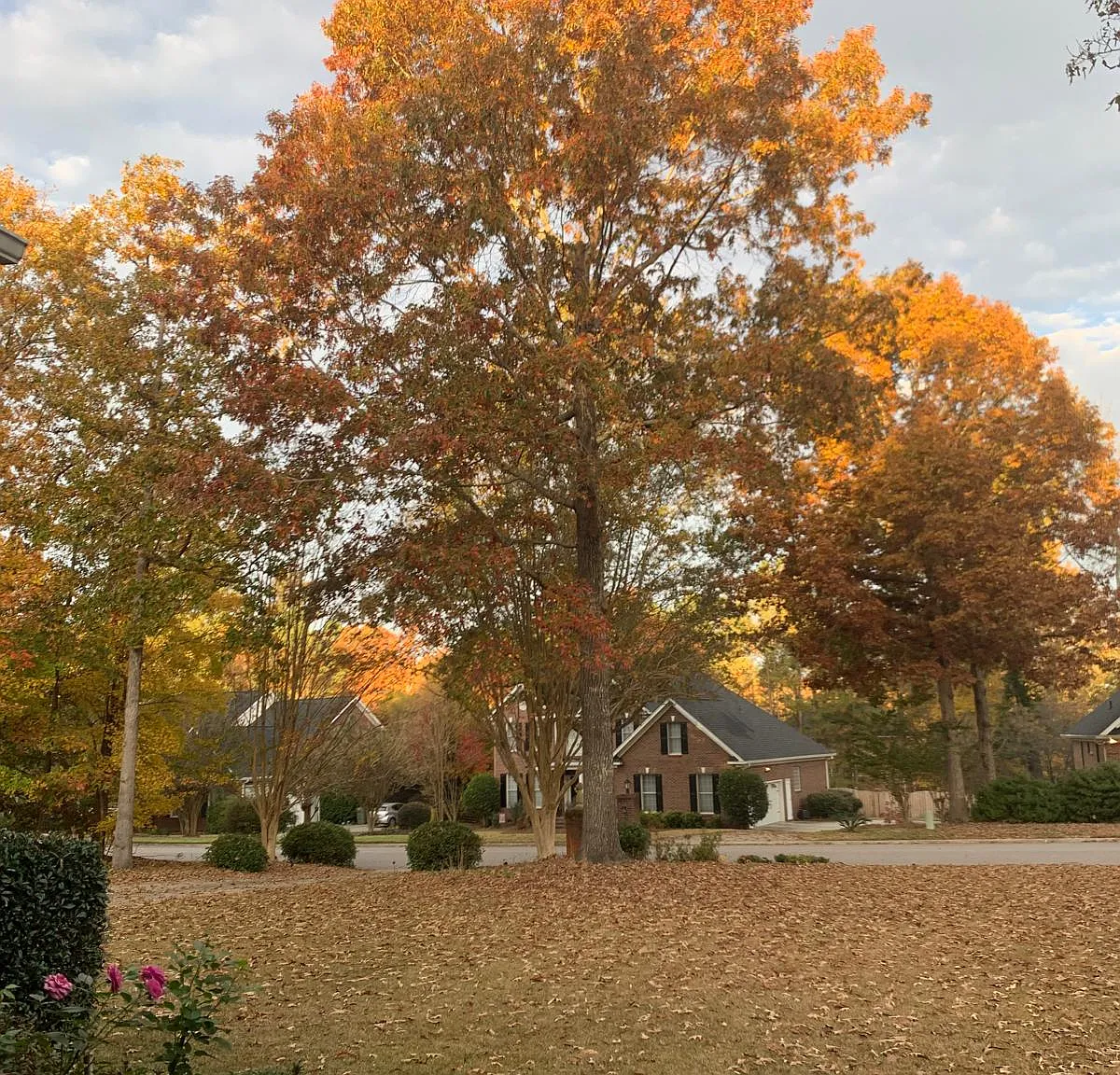 5 bed, 3435 sqft, $3,000 — Photo 3