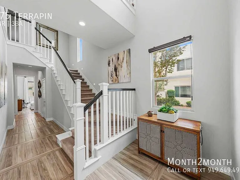 175 Terrapin — Photo 43