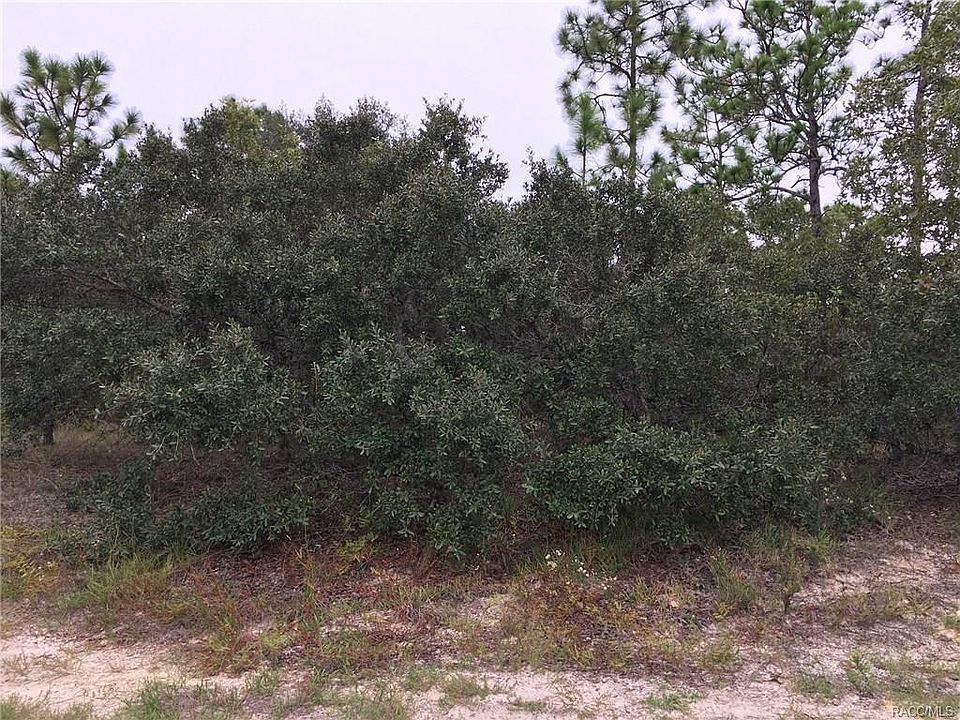 2nd image of 12 Black Willow Dr