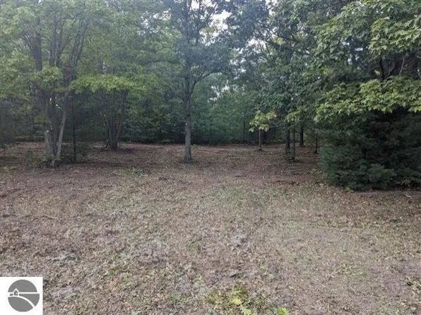 11776 Country Acres Dr, Interlochen, MI 49643
