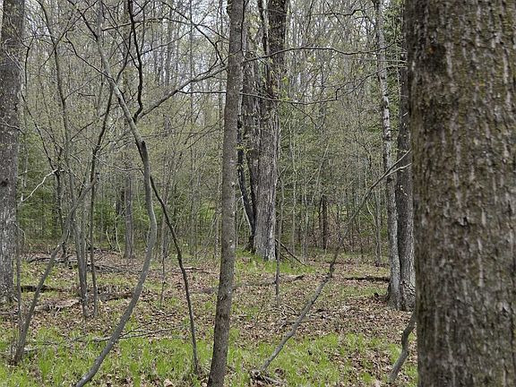 4th image of Chapin Rd