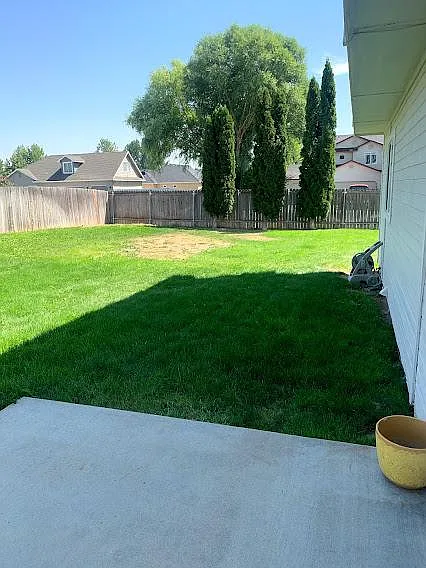 Back yard