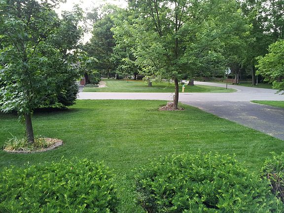 Looking into Front Yard