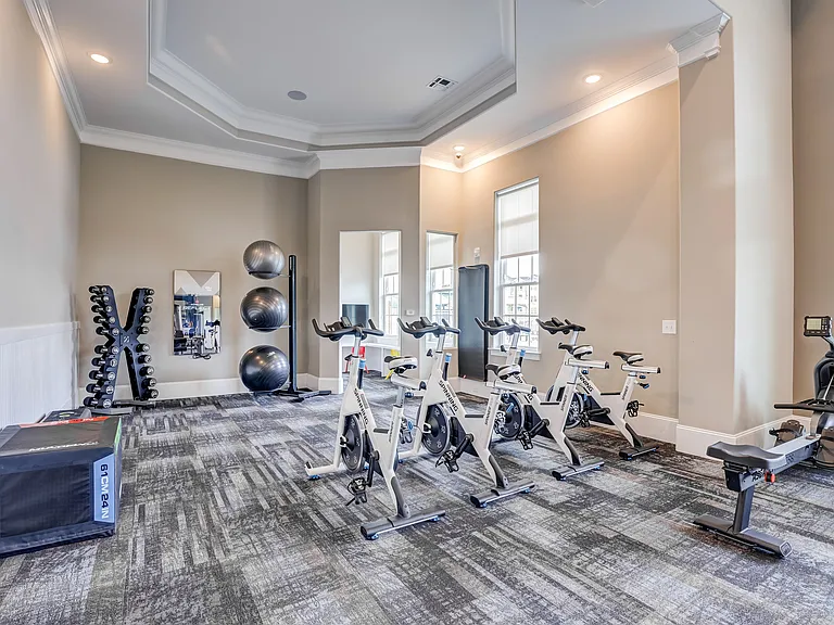 From cardio to strength, everything you need is here.