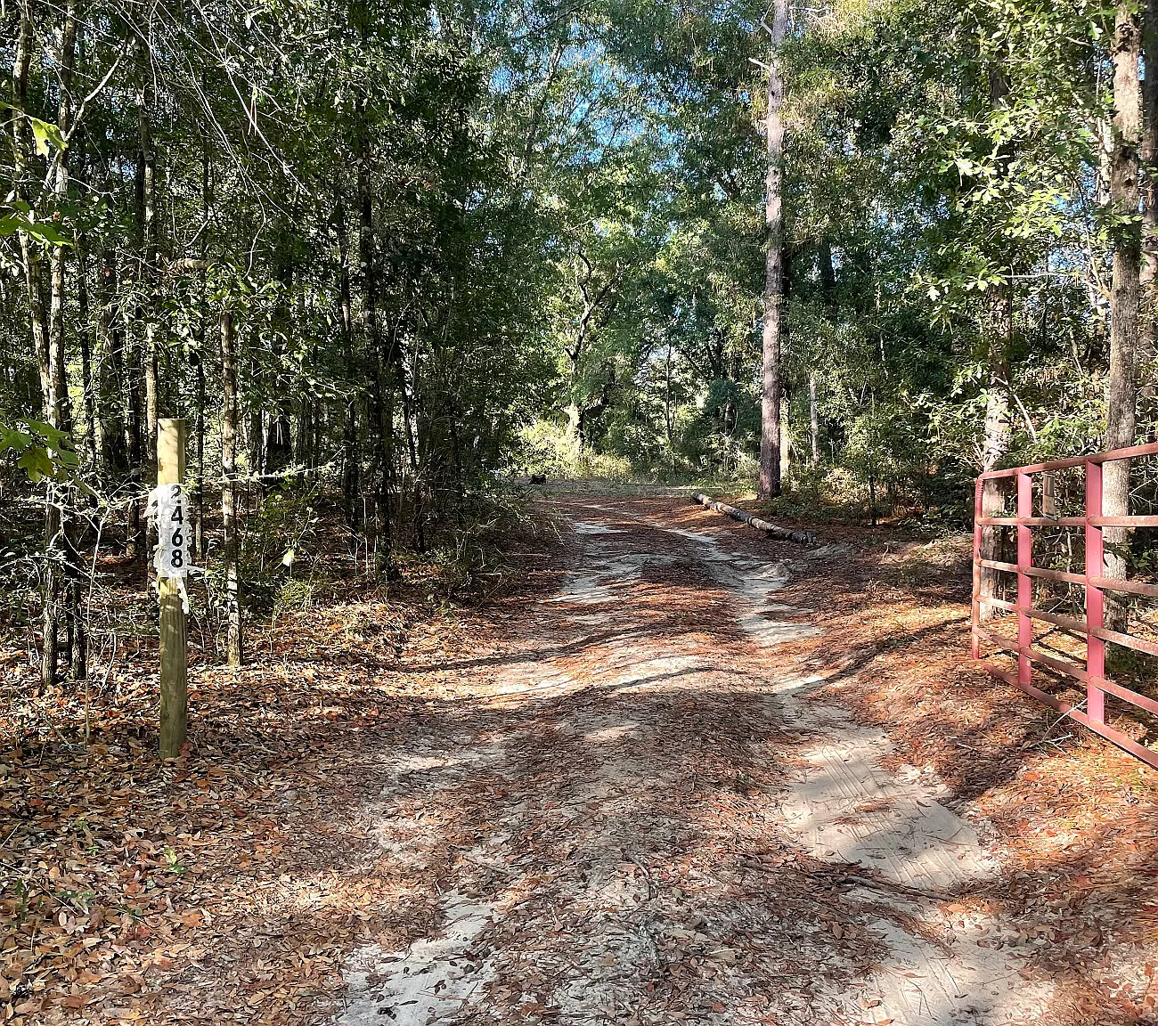 3 bed, 1000 sqft, $1,250 — Photo 1