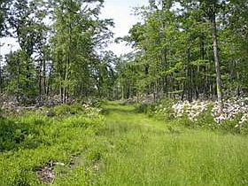 1st image of Mount Vernon Road