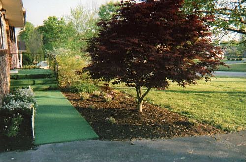 Outdoor carpeting to the front entry