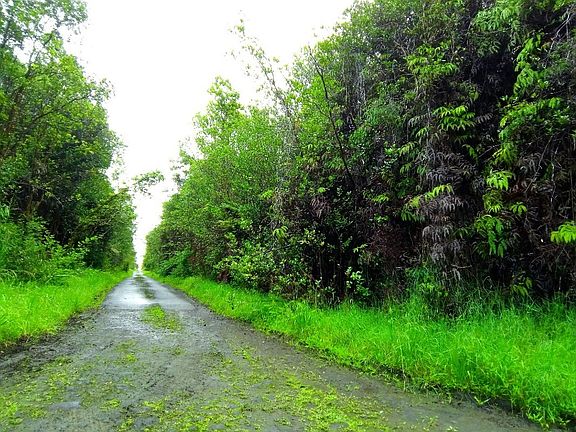 2nd image of Mauna Kea Dr Lot 396