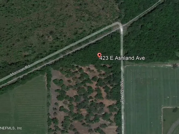 423 E ASHLAND Avenue, Hastings, FL 32145