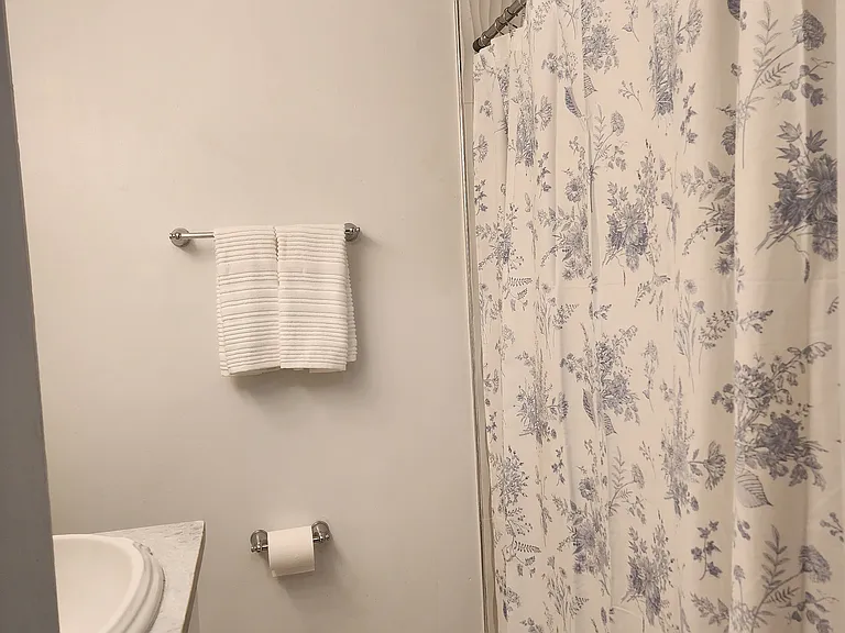 Shower curtain color complements the blue/grey sink granite. Shower head can be left in place or detached and used as a spray with a hose.