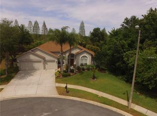 18028 Sparrows Nest Dr, Lutz, FL 33558