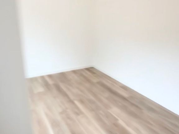 3rd image of 1041 Landsford St