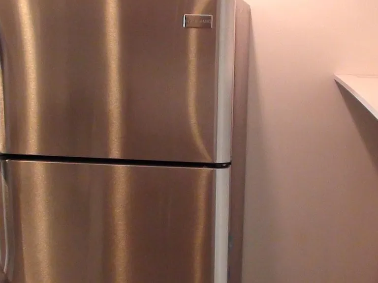 stainless steel fridge