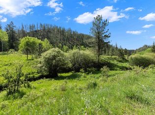 Silver Creek Rd, Hill City, SD 57745