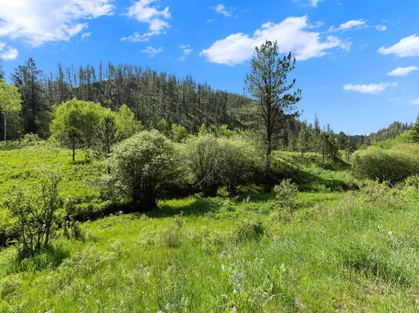 Silver Creek Rd, Hill City, SD 57745