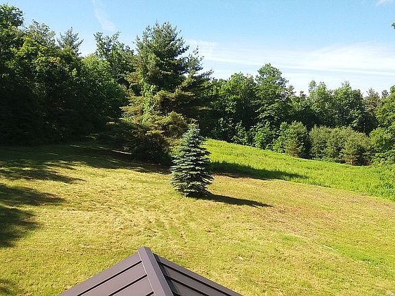 South View to Far Treeline 