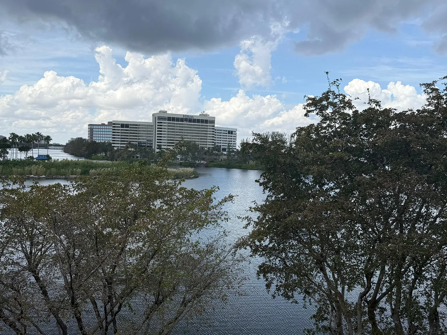 2 bed, 798 sqft, $2,000 — Photo 1